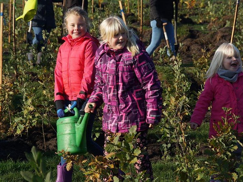 Naturprojekte mit Kindern