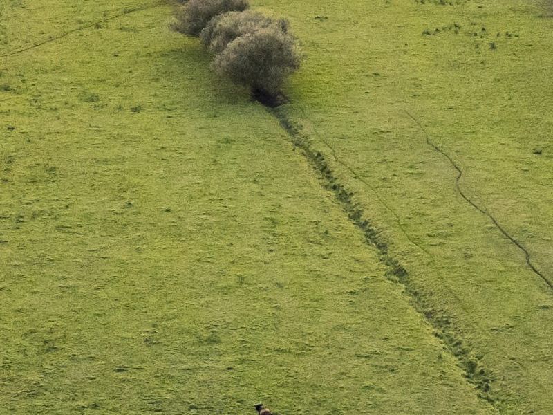 „Deutschlands Schönster Wanderweg“