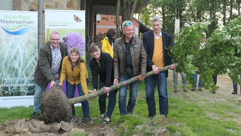 Pflanzung einer Blutbuche auf Hof Mörixmann